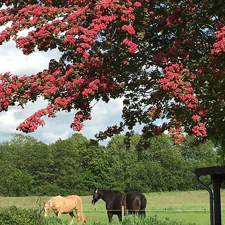 Appartement Zwischen Den Feldern